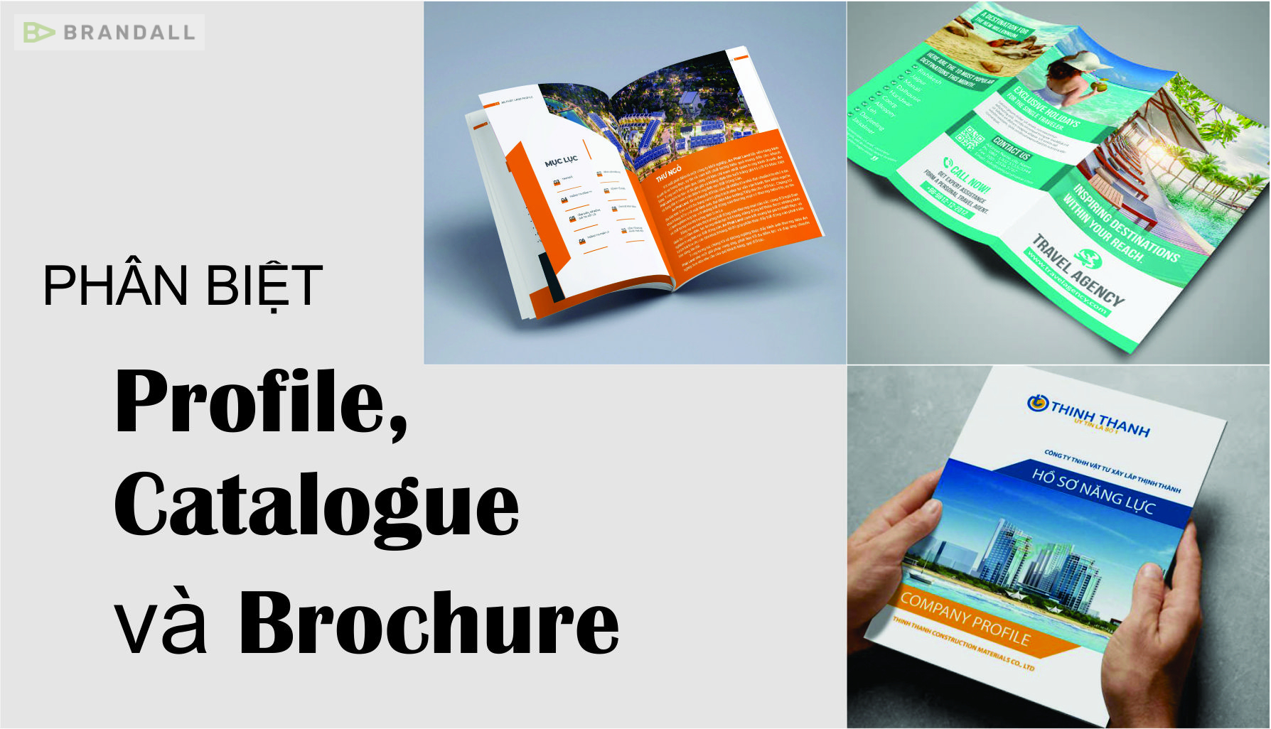 Phân biệt Catalogue và Brochure