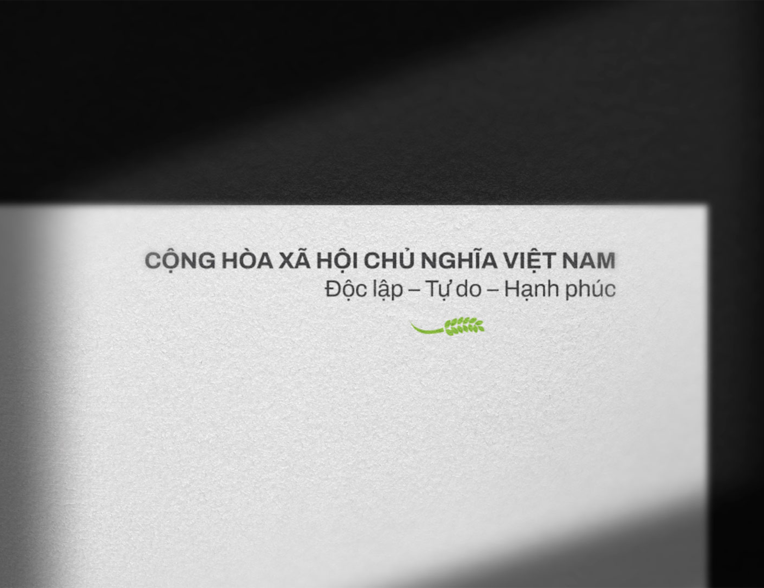 DUY DUNG